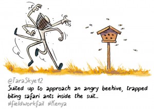 ants hive fieldwork fail