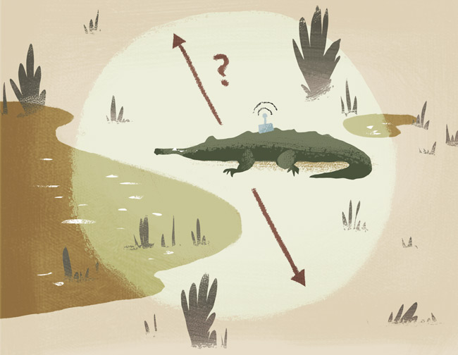 crocodile zone GPS