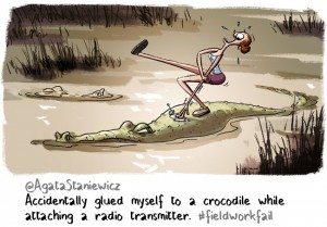 crocodile glued illustration