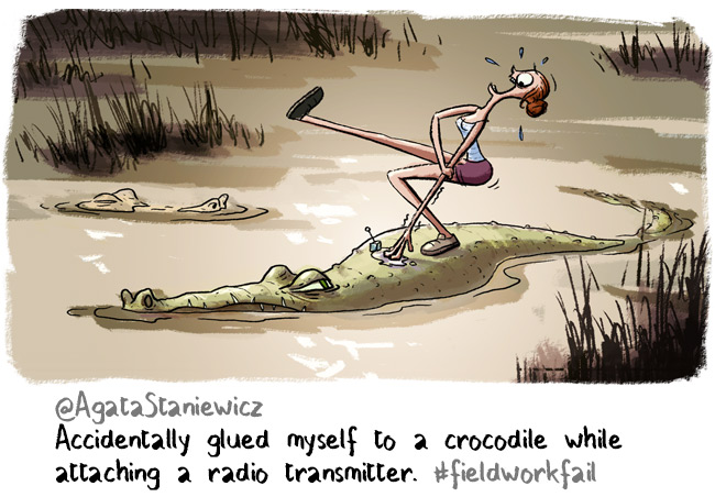 crocodile glued fieldwork failed