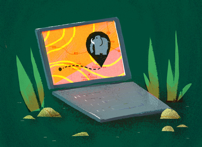 elephant-tracking with laptop