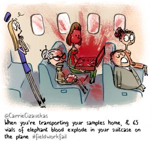 blood on plane #fieldworkfail illustrated