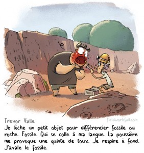 fossil-FR