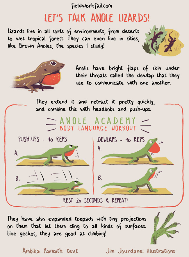 lizards facts